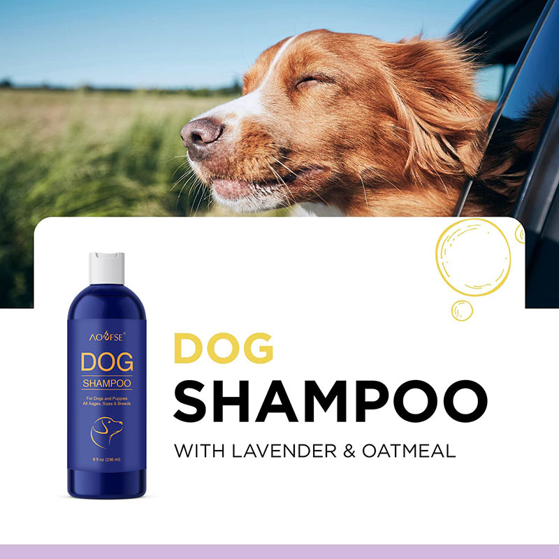 clean dog shampoo